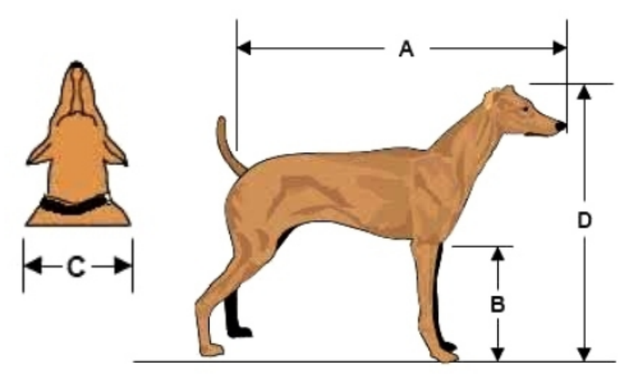 ab9ae09b65807d944d4c0d6f825c5875.png ab9ae09b65807d944d4c0d6f825c5875.png